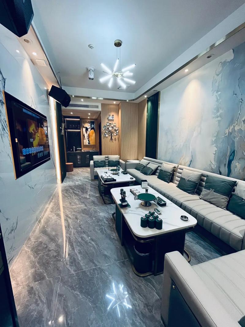 忻州商务ktv夜场独家体验-偏关县ktv预定